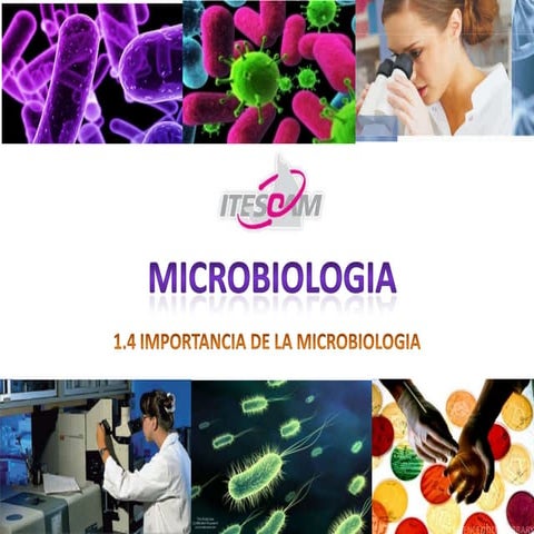 Usos benéficos de los microorganismos en alimentos | PDF
