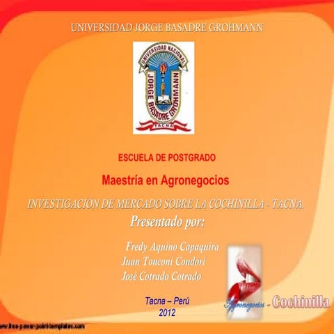 Exposicion estudio de mercado cochinilla