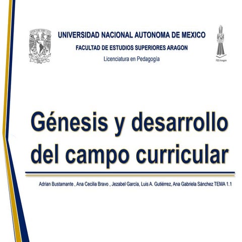 Mapa Curricular UPN nacional México .pdf