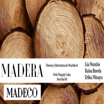 Exposicion MADERA - MADECO por Lia Montas, Raisa Rueda y Erika Minaya