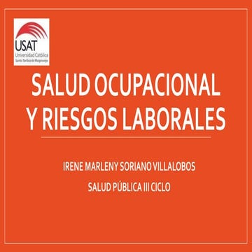 SALUD OCUPACIONAL Y RIESGOS LABORALES