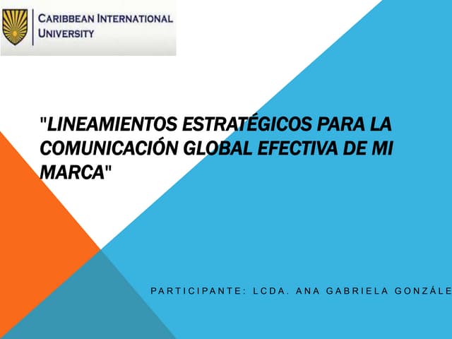 Exposicion lineamientos para una comunicacion efectiva de la marca