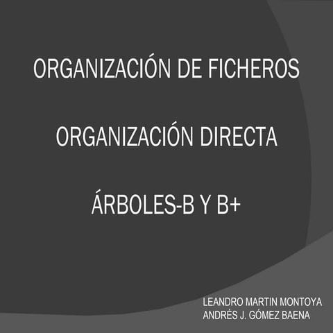 Exposicion organización directa