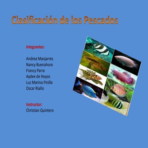 Exposicion pescados