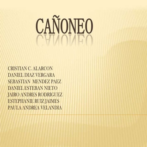 Exposicion produccion cañoneo