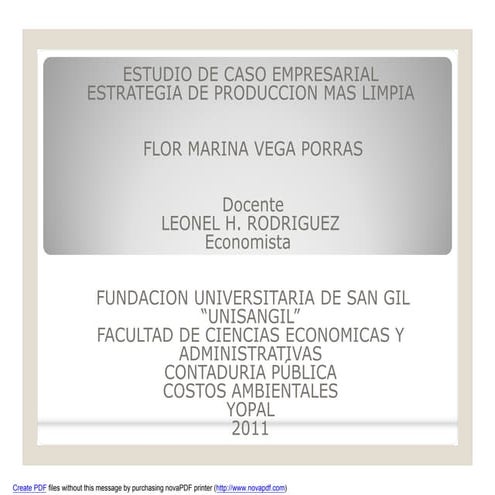 Exposicion produccion mas limpia (costos ambientales)