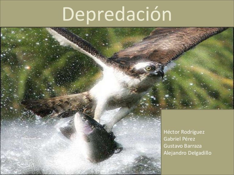 depredacion