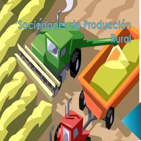 Sociedades de produccion rural | DOCX