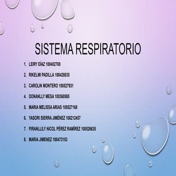 Sistema respiratorio presentacion histologia