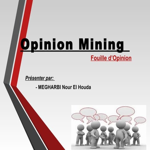 Opinion Mining 