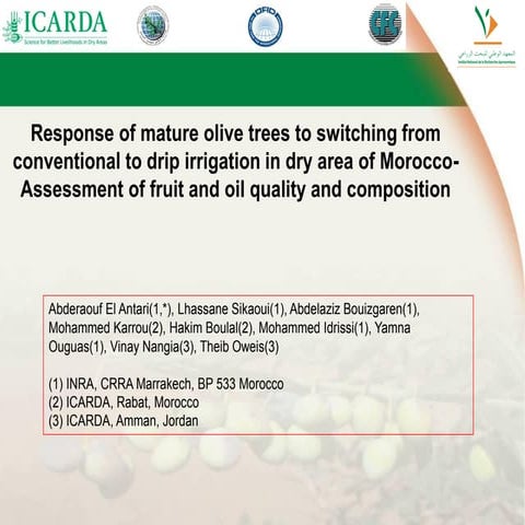Response of Mature Olive Trees - Switching from Conventional to Drip irrigation