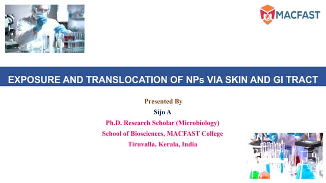Exposure and Translocation of NPs Via Skin and GI Tract - Nanotechnology