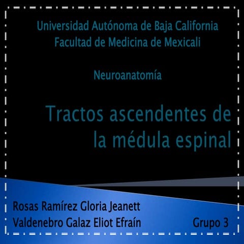 Expo Tractos Ascendentes