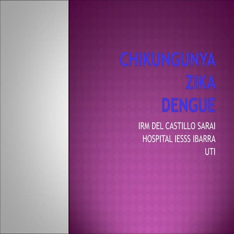 DENGUE CHIKUNGUNYA ZIKA 