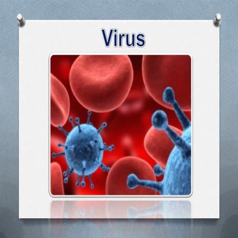 clasificacion de virus