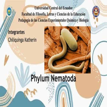 Phylum NEMATODA 