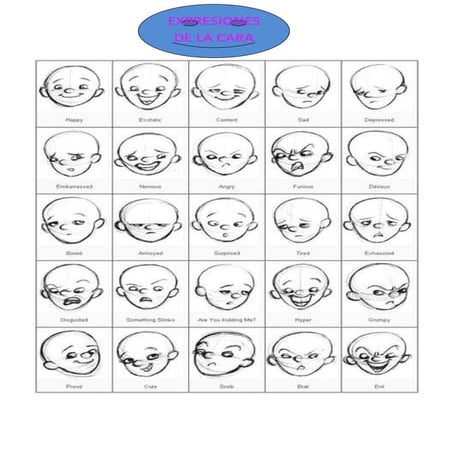 Expresiones de la cara