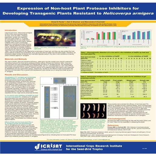 Expression of non-host plant protease inhibitors for developing transgenic pl...