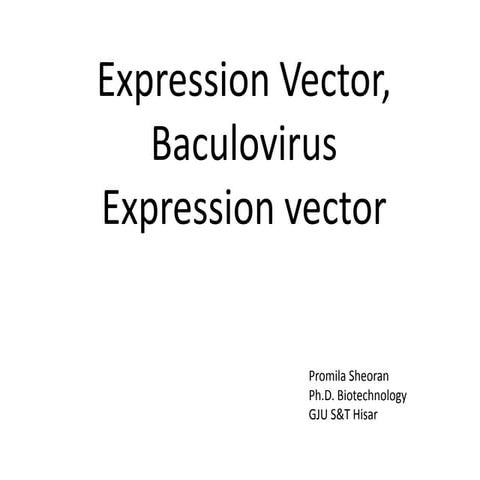 Expression vector, baculovirus expression vector