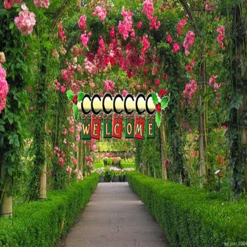 Role of mass media in agriculture