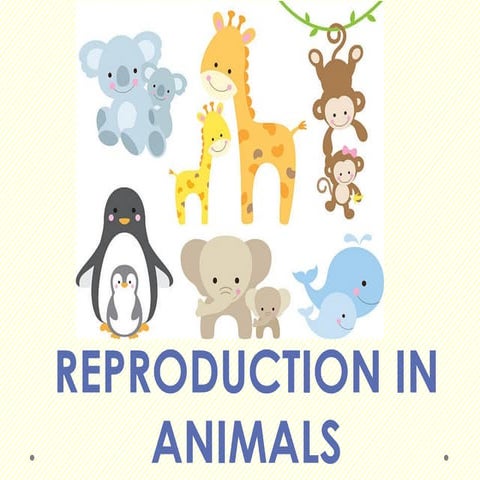 External and Internal Fertilization.pptx