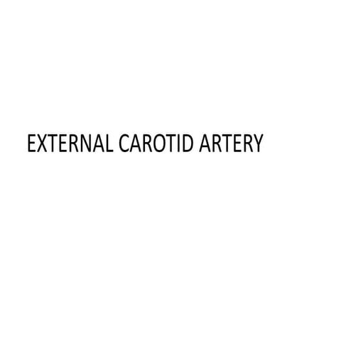 EXTERNAL CAROTID  copy.pptx