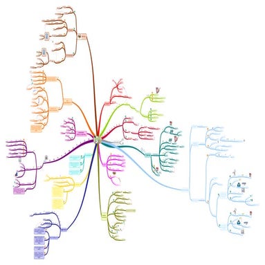 External Confirmation  -   MIND MAPPING STUDY TECHNIQUE 