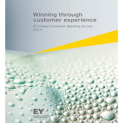 EY Global Consumer Banking Survey 2014