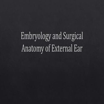 External ear anatomy