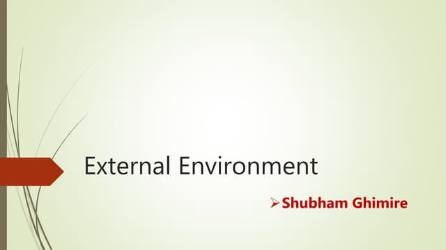 External Environment | Business Environment