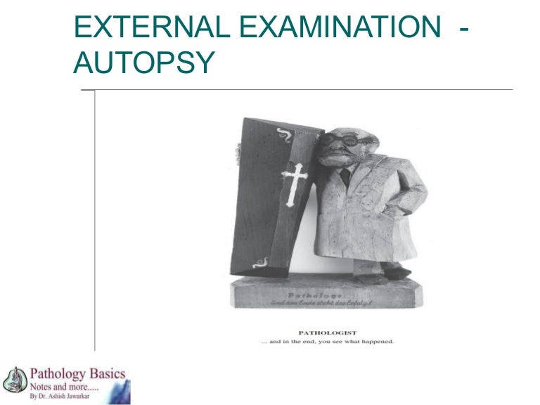 External examination at autopsy