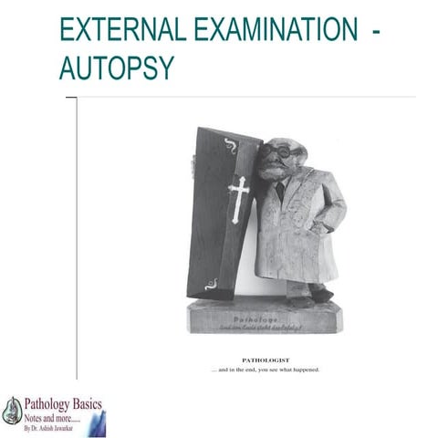 External examination at autopsy