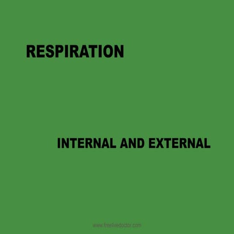 External&Internal Respiration