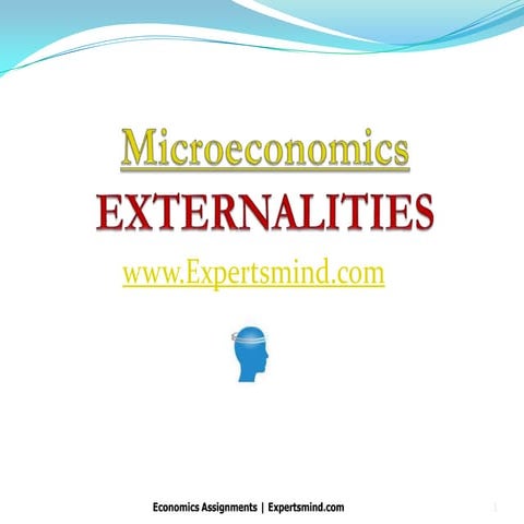 Externalities and inefficiency | Microeconomics | Expertsmind.com