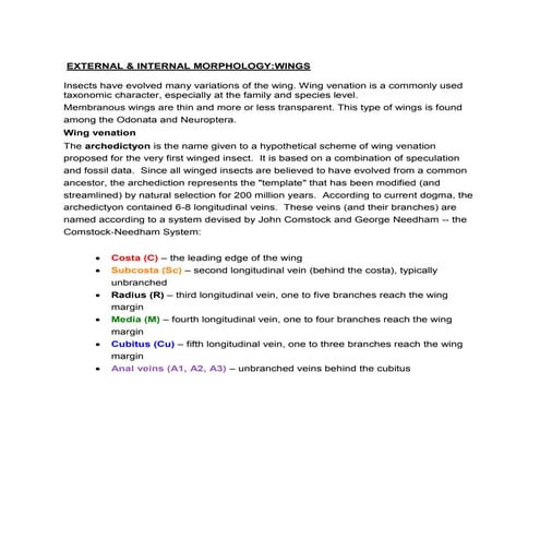 External morphology wings