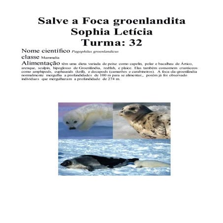 Extinção leticia sophia