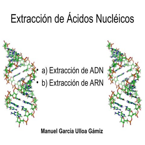 Extracción de Ácidos Nucléicos | PPT