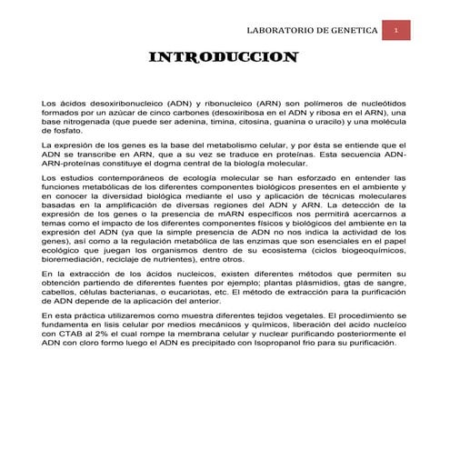 Extraccion de acidos nucleicos lab. Genetica UNAH