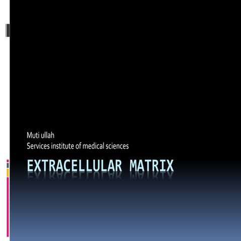 Extracellular matrix and GAGS