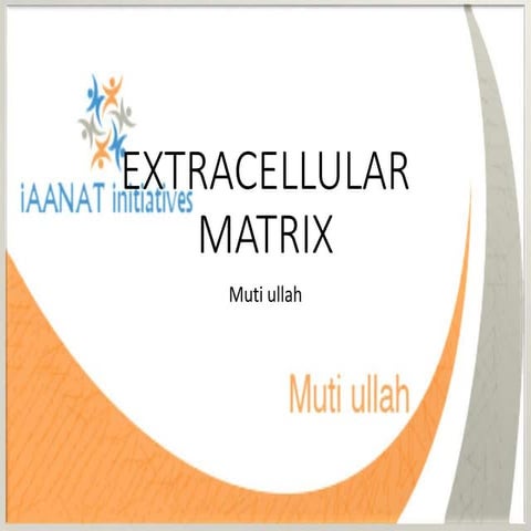 Extracellular matrix