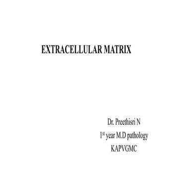 Extracellular matrix
