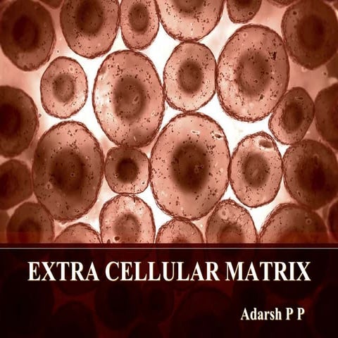 Extra cellular matrix