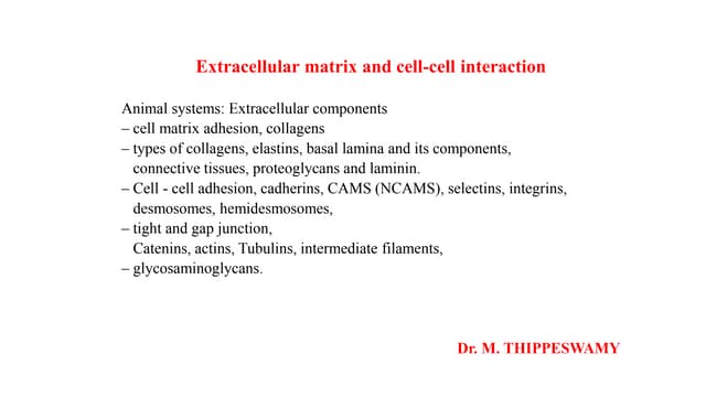 EXTRACELLULAR MATRIX AND ITS COMPONENTS | PPTX