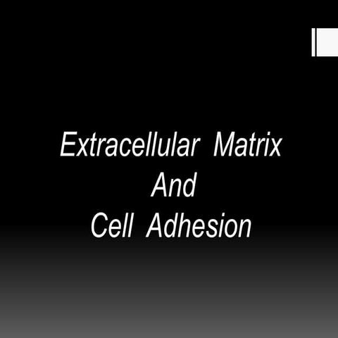 Extracellular Matrix And Cell Adhesion 