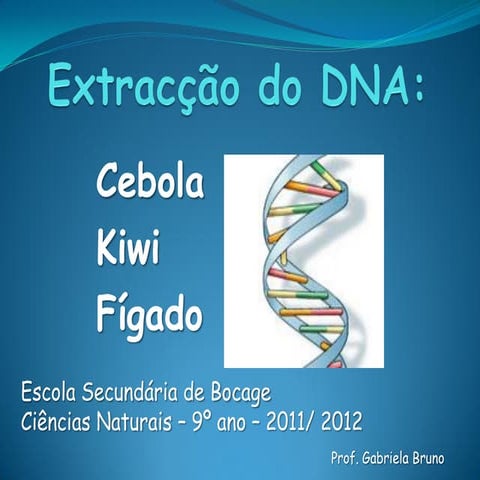 Extração de Dna da fruta banana, aula prática | PDF