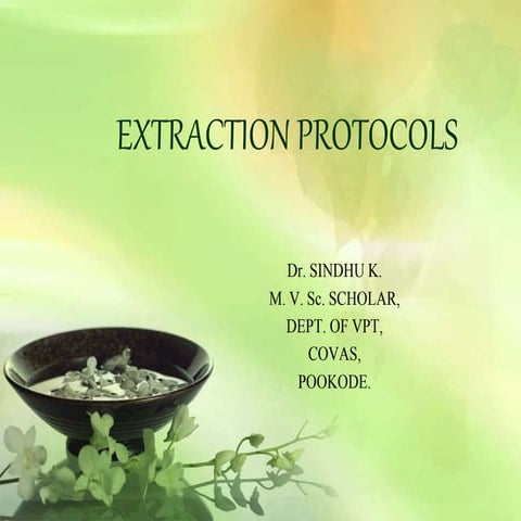 PHYTOCHEMICAL EXTRACTION