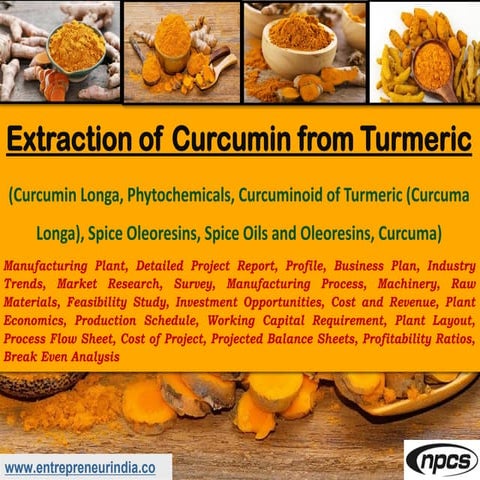 Extraction of curcumin from turmeric | PDF