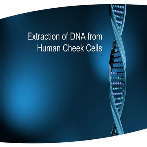 Extraction of DNA from human cheek cells