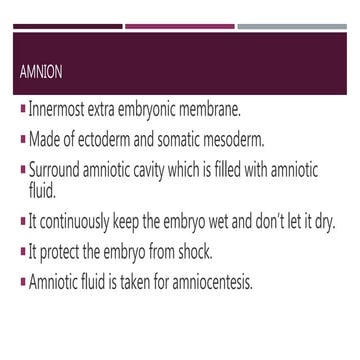 Extra embryonic membrane | PPTX