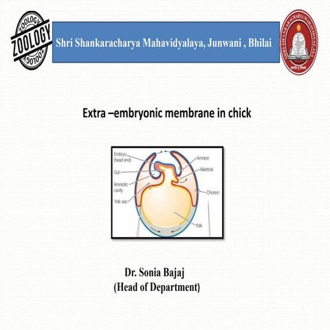 Extra embryonic membrane in chick, Types, Developments, Functions